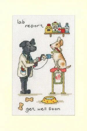 Beste Prijs Borduurpakket Cockadoodle Cards - Lab Report - Bothy Threads