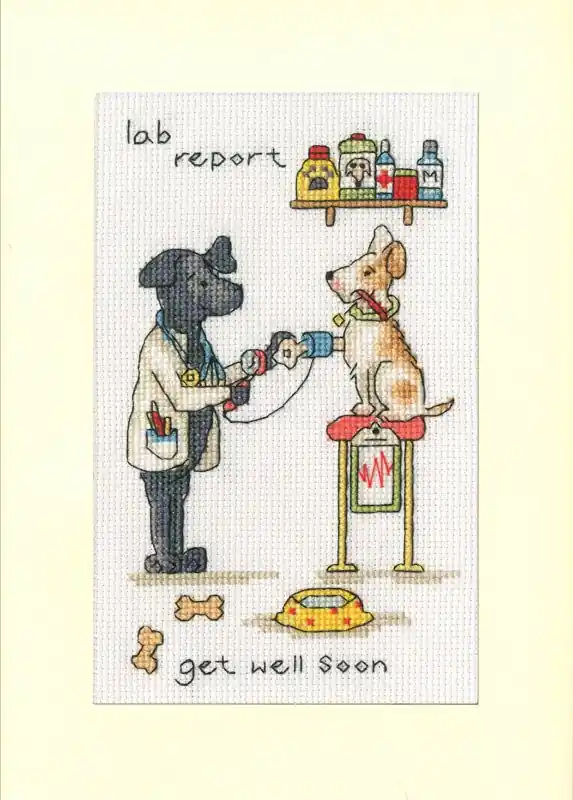 Beste Prijs Borduurpakket Cockadoodle Cards - Lab Report - Bothy Threads