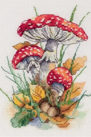 Alleen Vandaag Borduurpakket Fly agarics-Klart/ PANNA