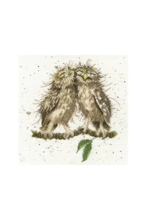 Borduurpakket Hannah Dale Birds Of A Feather - Bothy Threads Gratis Verzending
