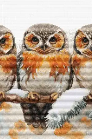 Betrouwbaar Borduurpakket Owls in The Silence of Winter - Luca-S