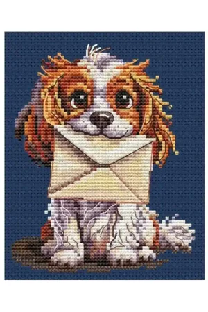 Koop Vandaag Borduurpakket Surprise for You - Collection d'Art