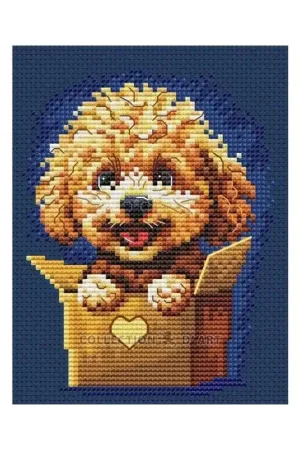 Goedkoop Borduurpakket Surprise for You - Collection d'Art