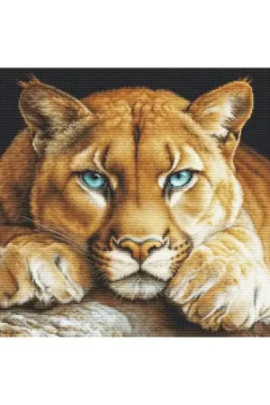 Borduurpakket The Wild Spirit - Luca-S Beperkt Aanbod