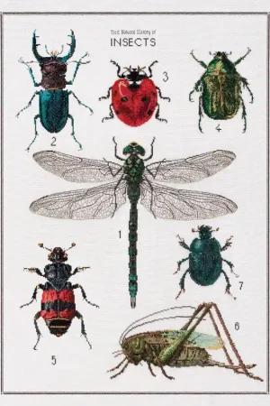Borduurpakket Thea Gouverneur History of Insects borduurpakket Veilige Betaling