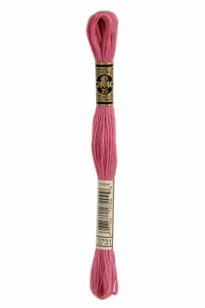 Alleen Vandaag DMC 117MC Mouliné Spécial Borduurgaren 3731