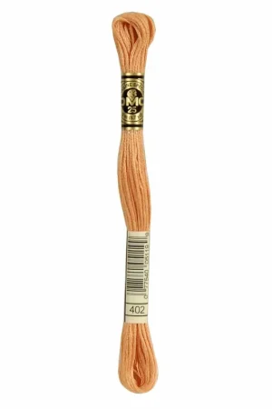 Alleen Vandaag DMC 117MC Mouliné Spécial Borduurgaren 402