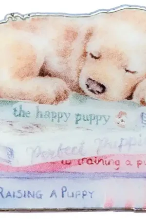 Alleen Vandaag Needle Minder Hannah Dale - A Pup's Life - Bothy Threads