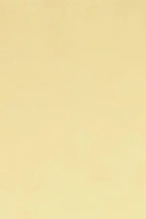 Direct Verzonden Synthetisch Vilt 30x20cm - donker beige