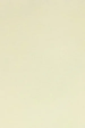 Synthetisch Vilt 30x20cm - ecru Aanbieding