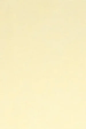 Speciale Aanbieding Synthetisch Vilt 30x20cm - licht beige