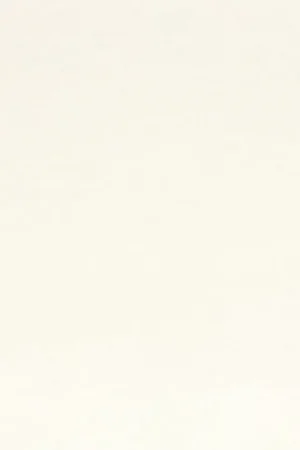 Synthetisch Vilt 30x20cm - wit Laatste Kans