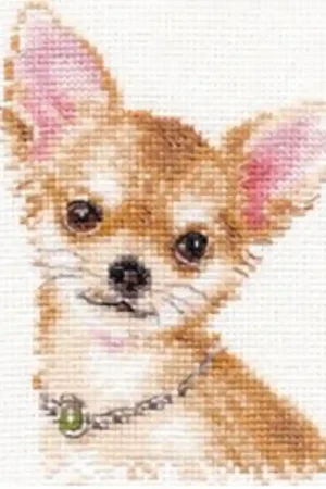 Beste Prijs Mini BorduurpakketChihuahua - Alisa
