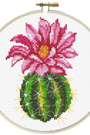 Snelle Levering Needleart World Pink Cactus voorbedrukt borduren (pakket)