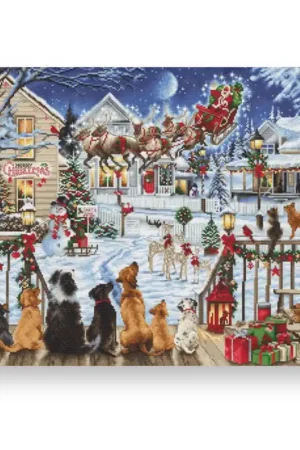 Koop Vandaag Luca-S Pets On The Porch borduren (pakket) B2423