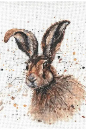 Bree Merryn Hugh the Hare borduren (pakket) BMCS01 Alleen Vandaag