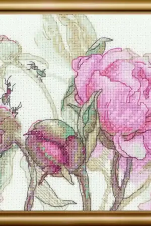 Aine Peonies Delight borduren (pakket) A1009 Must-Have